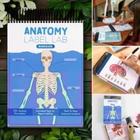 Anatomy Label Workbook