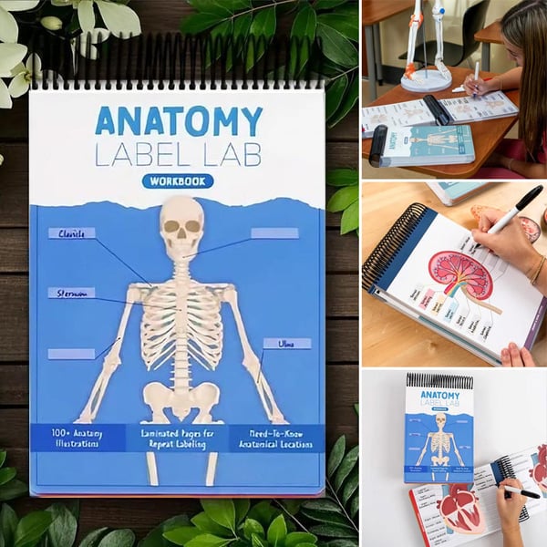 Anatomy Label Workbook