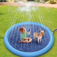 🐶Tanzschwimmbad für Hunde & Familie🐱