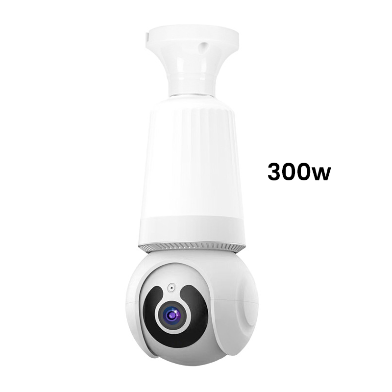 300w.png