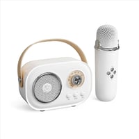 Tragbarer Bluetooth-Lautsprecher mit drahtlosem Mikrofon