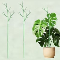 Plant climbing pole