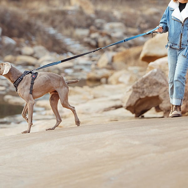 2_412a452d-ee50-4b47-8213-93b293fcf1e8