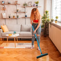 Three-Section Telescopic Pole Carpet Delinting Broom
