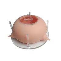 Distributeur d'aliments en silicone