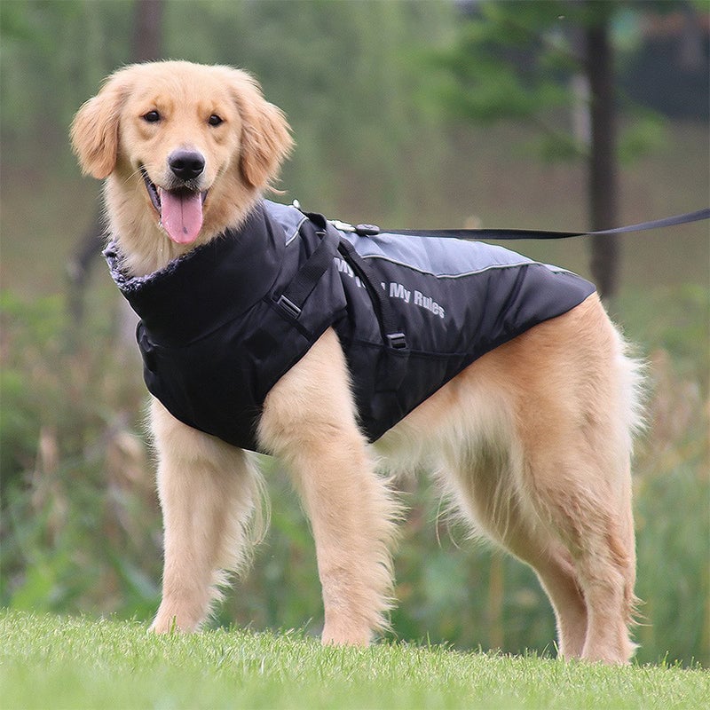 Pet Reflective Insulated Jacket