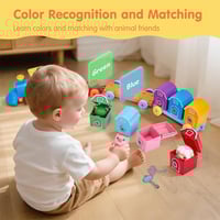 Matching & Sorting Activity Train Set