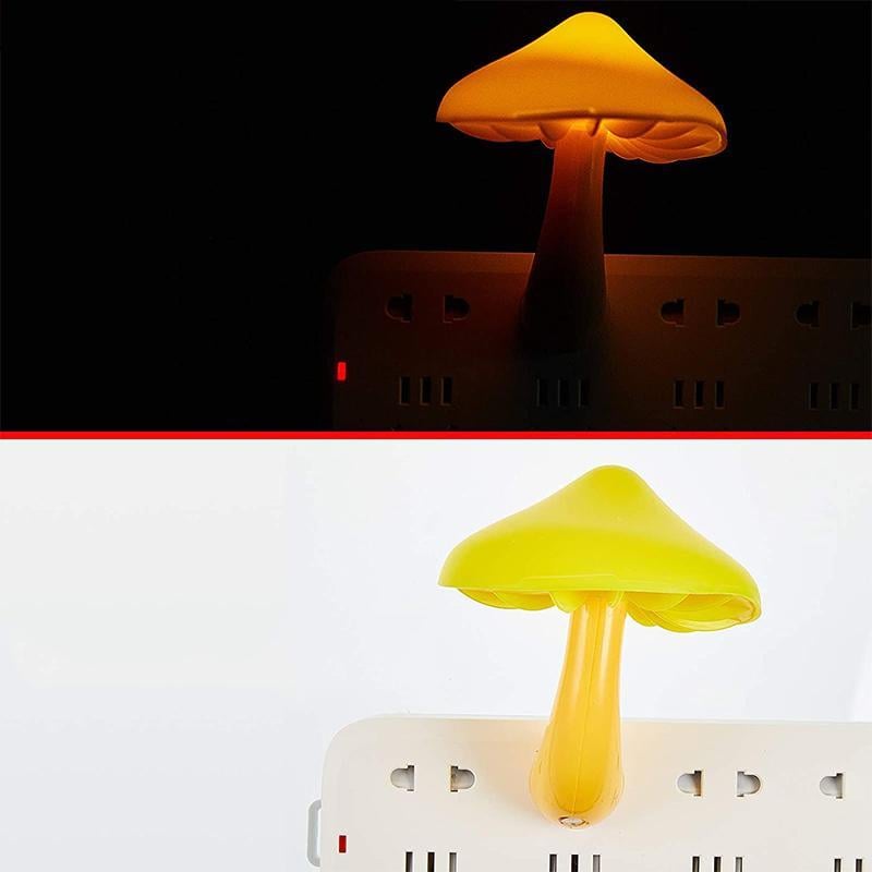 5_3c99ef6f-1de7-4b90-bab2-94b9c9feeacd