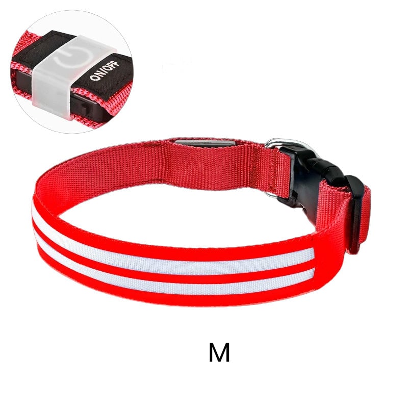 Dual Fiber Nighttime Luminous Dog Collar