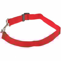 bunter Sitzgurt für die Sicherheit des Hundes