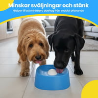 Långsammatande Flytande Hundskålar