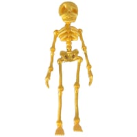 Skeleton Refrigerator Magnet