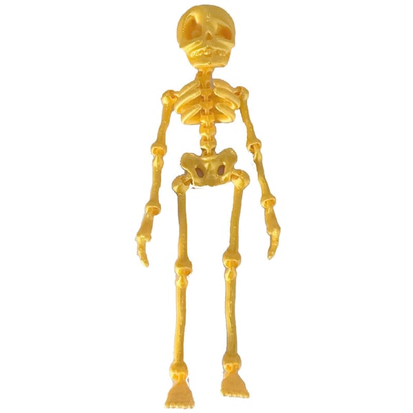 Skeleton Refrigerator Magnet