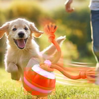 Interactive Smart Rolling Pet Ball