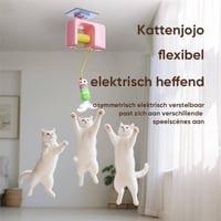 De Smart Play elektrische kat teaser