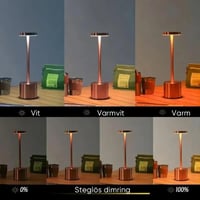 Bärbar uppladdningsbar LED-bordslampa