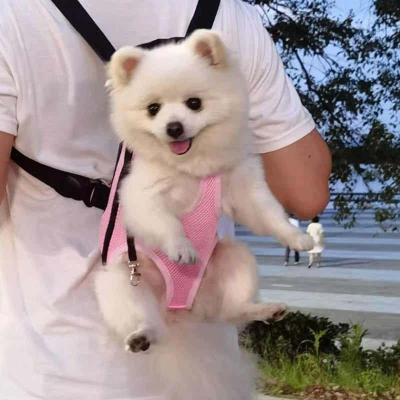 Haustier-Reise-Bein-Rucksack