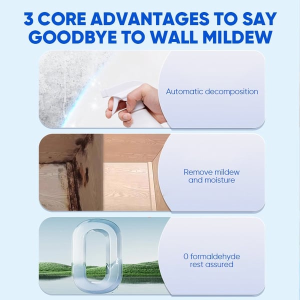 Fast Acting Anti-Mold Wall Cleaner Spray