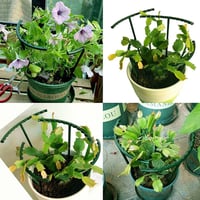 Steunkooien voor tuinplanten