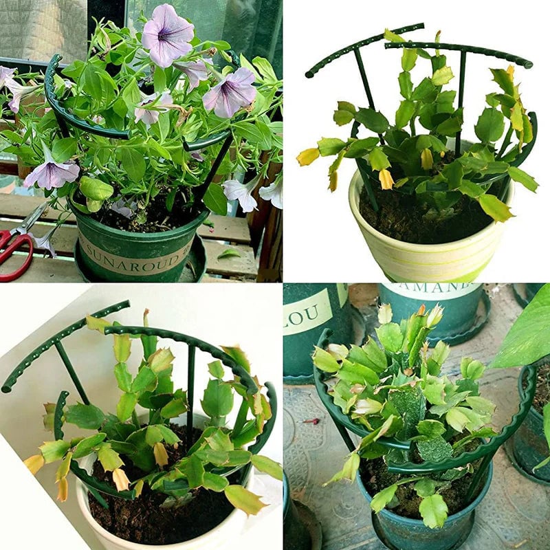 Steunkooien voor tuinplanten