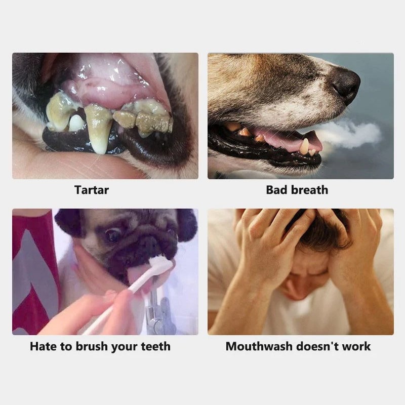 Pet Teeth Cleaning Finger Wipes(50 pieces)