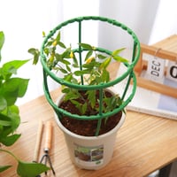 Steunkooien voor tuinplanten