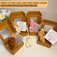 Handmade Mini Plush Teddy Bear in Box