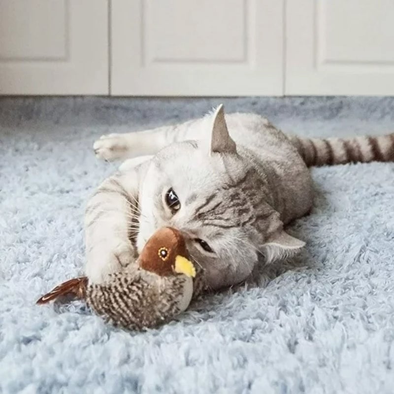 🐱 Katzenspielzeug - Simulierter zwitschernder Vogel