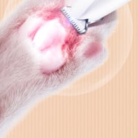 1_e30da913-8e37-4f9e-b5a3-6b7098958615