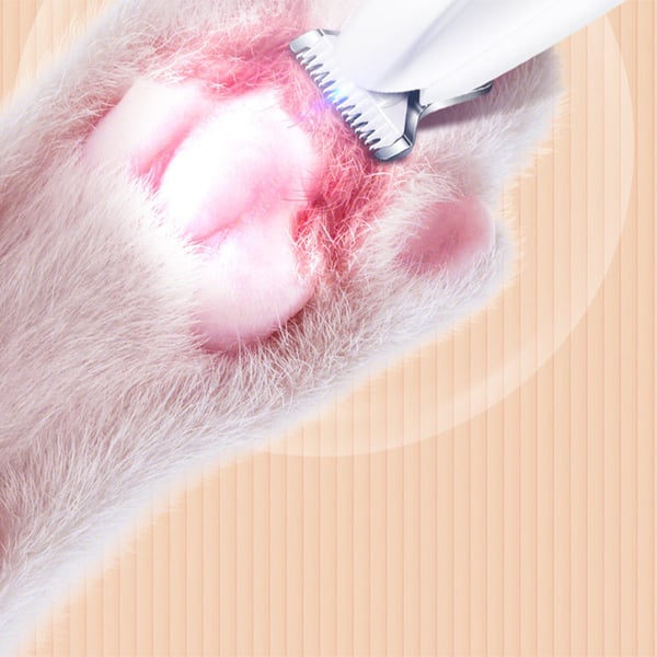 1_e30da913-8e37-4f9e-b5a3-6b7098958615