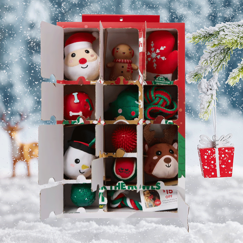 Dog Christmas Advent Calendar