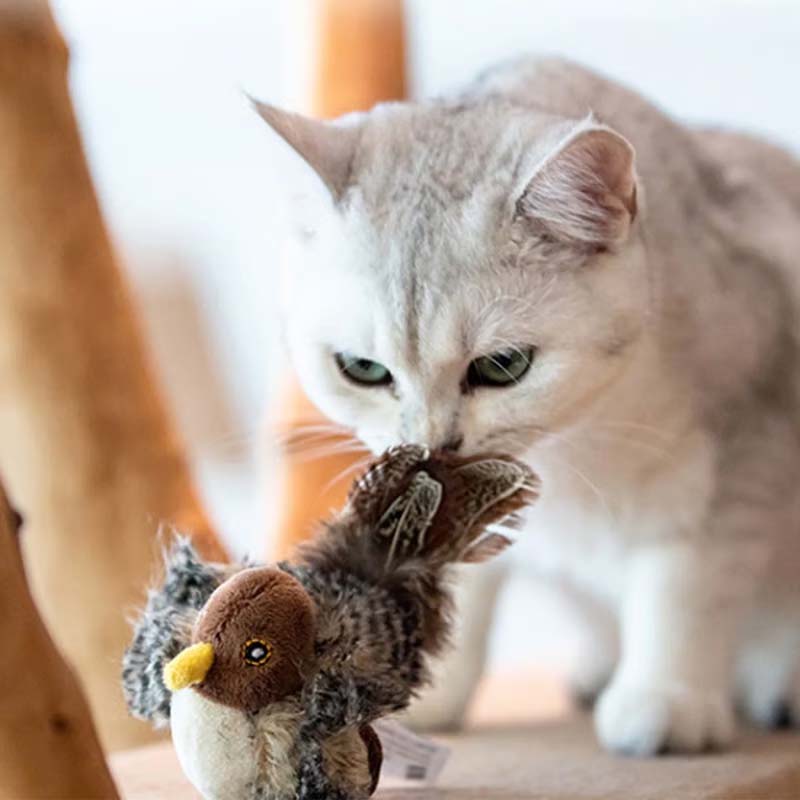 038984aa-c177-47e4-3331-51c9609e1700