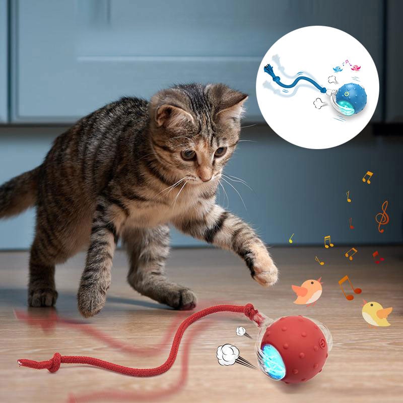 9f51552b11f9d48d1aa47638aceefcfb_159c5842-a3a3-42a7-8d11-972ff47c475f