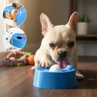 Långsammatande Flytande Hundskålar