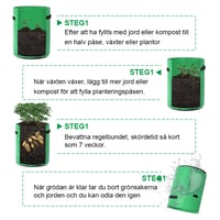 Tygkruka | Odla grönsaker