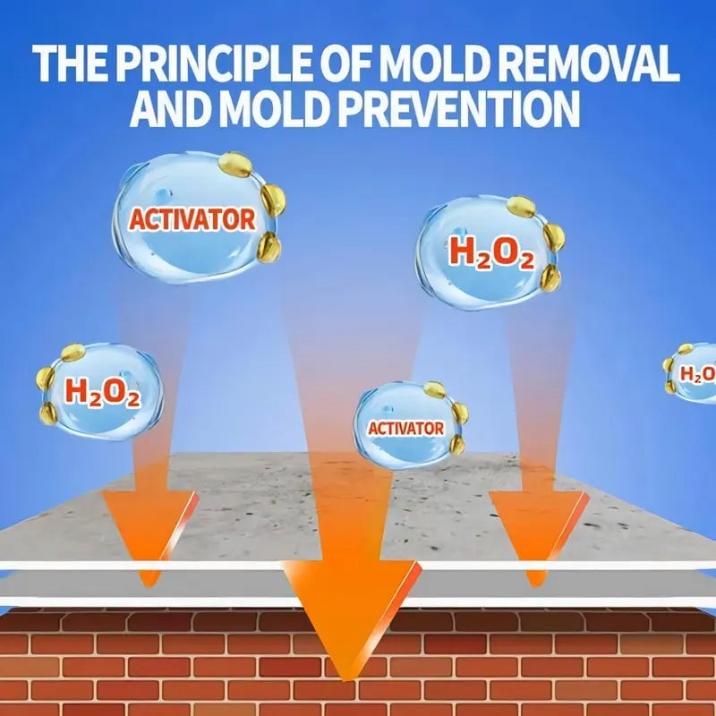 Fast Acting Anti-Mold Wall Cleaner Spray