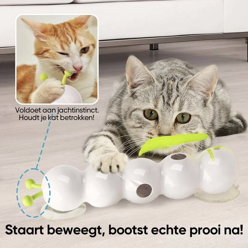 🐱Interactief Elektrisch Rups Speelgoed