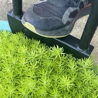 Half-moon lawn edger with T-handle