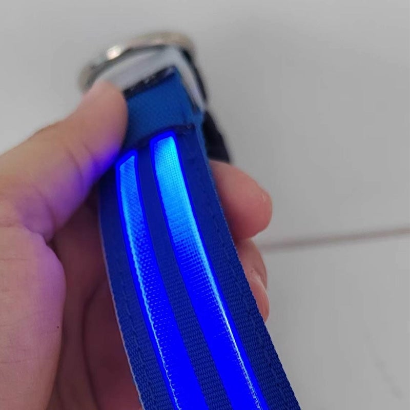 Dual Fiber Nighttime Luminous Dog Collar