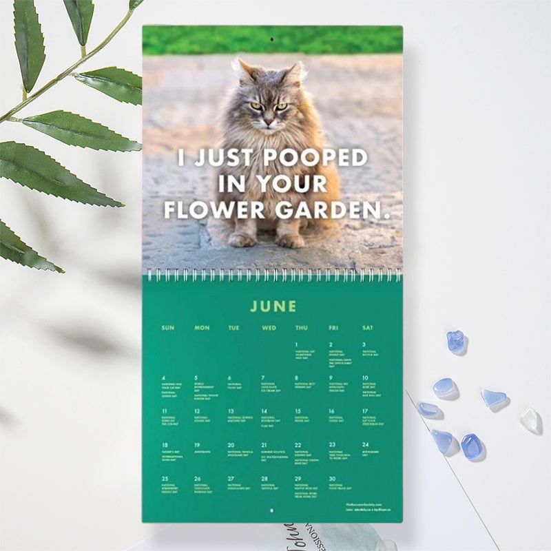 😾2024 Kalender med sure katte