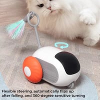 Gravity Run Sports Car Toy