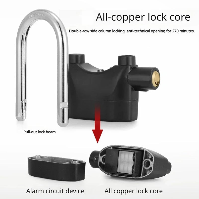 Anti-Theft Alarm Lock