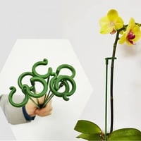 🌱Spezieller Stützstab für Topfpflanzen
