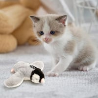 【Sale】Imitation Bird Cat Toys