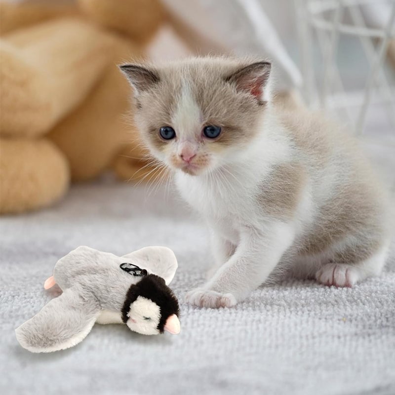 【Sale】Imitation Bird Cat Toys