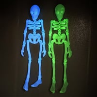 Skeleton Refrigerator Magnet