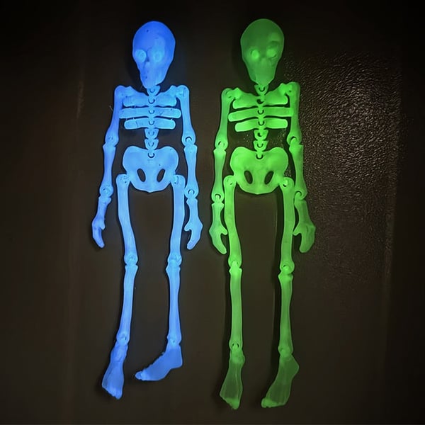 Skeleton Refrigerator Magnet