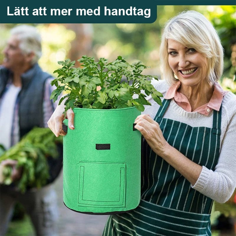 Tygkruka | Odla grönsaker
