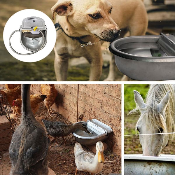 2_56e3e932-1e83-45fd-b2fa-06d62dc2de85