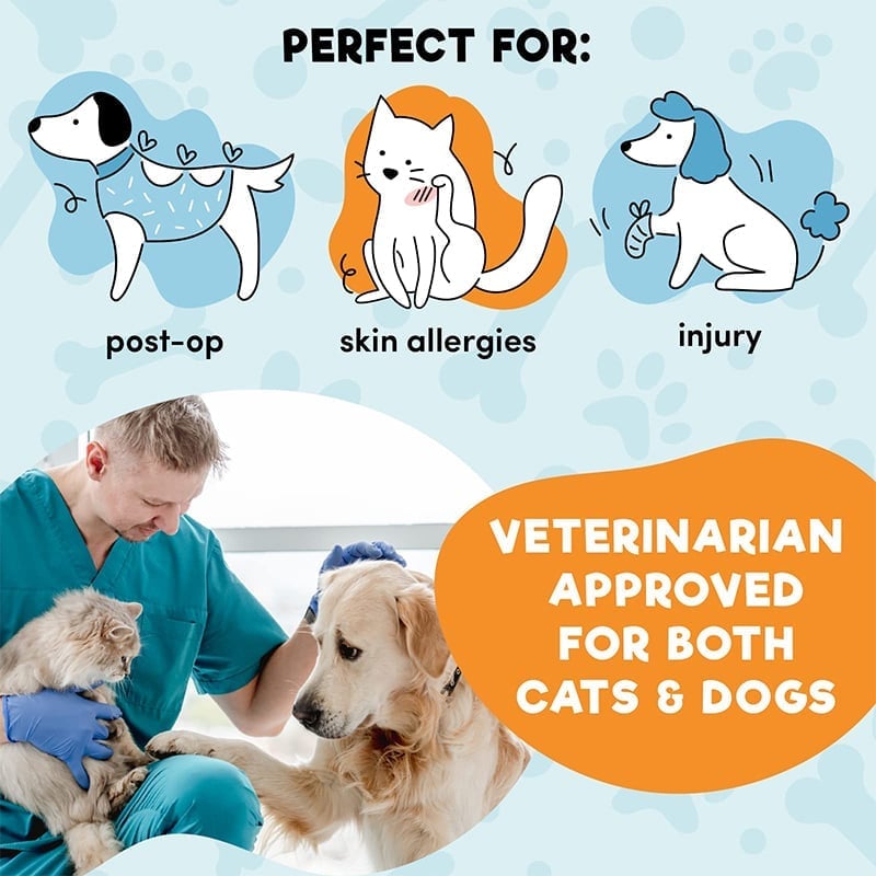 Inflatable Pet Cone Collar